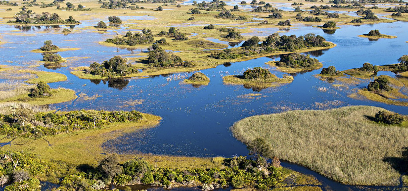 Okavango aerial