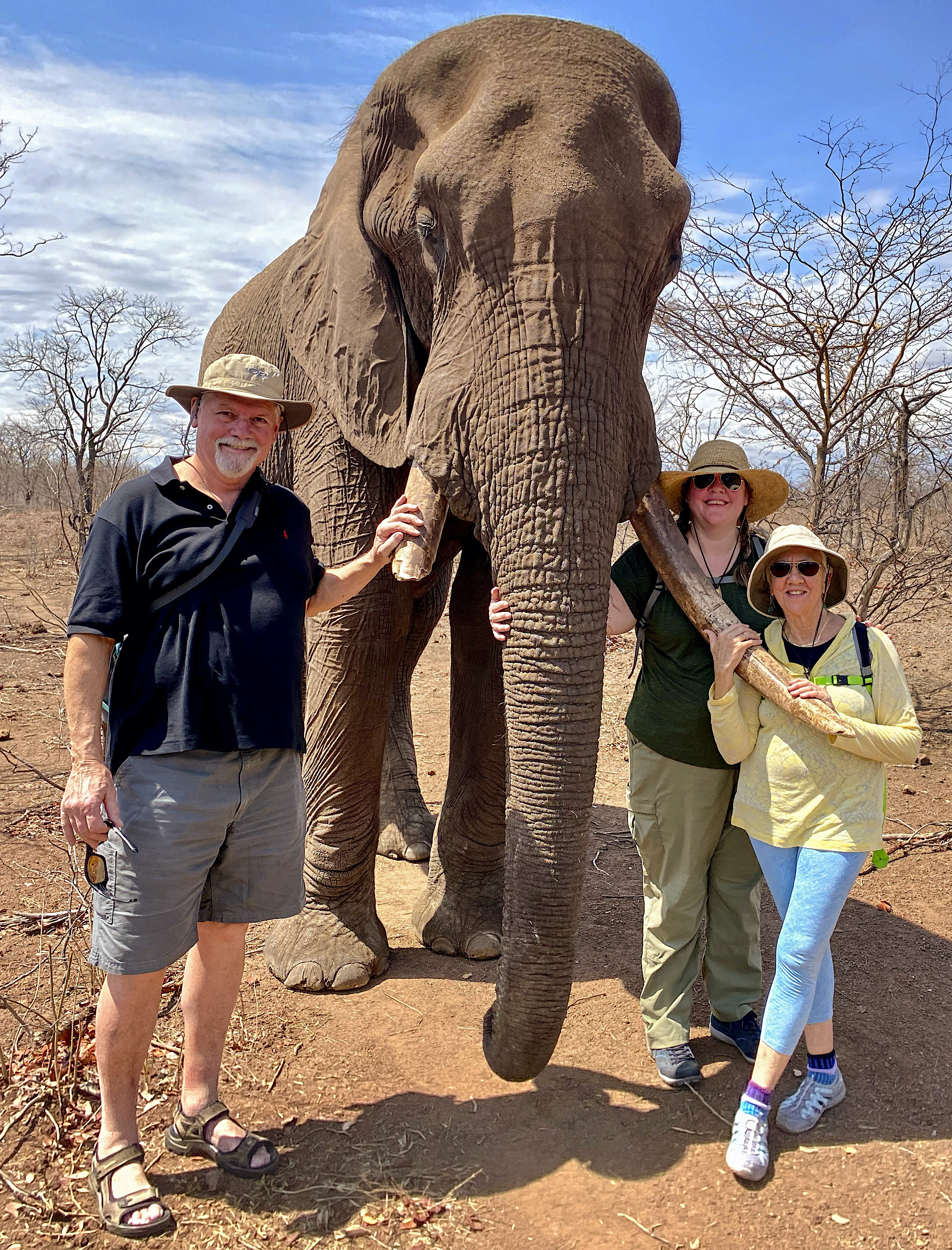 Elephant encounter family