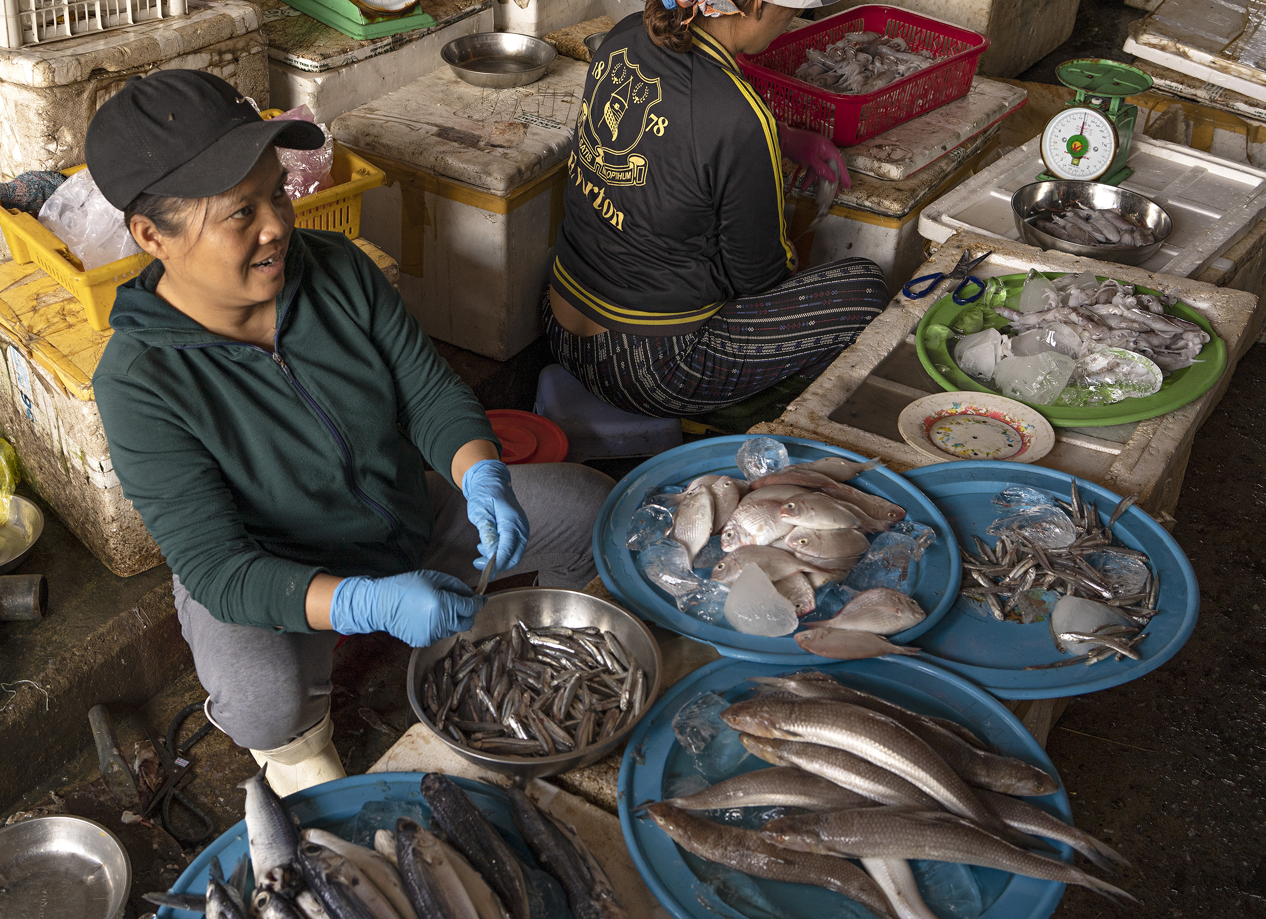 Hoi An, fish market